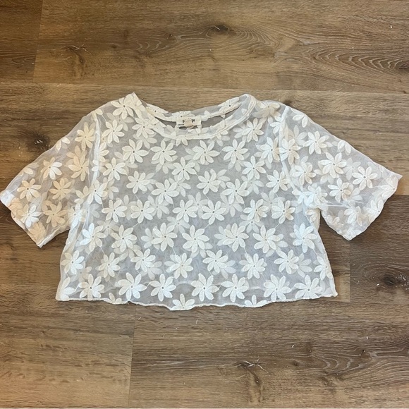porridge Tops - Daisy sheer cropped tee with embroidery size 2X (runs small) see measurements